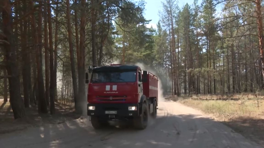 Абай облысында орман өрті 240 гектарды шарпыды