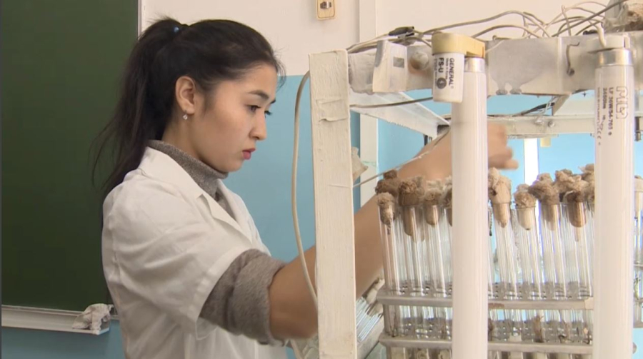 Жастарды қолдау шаралары артты