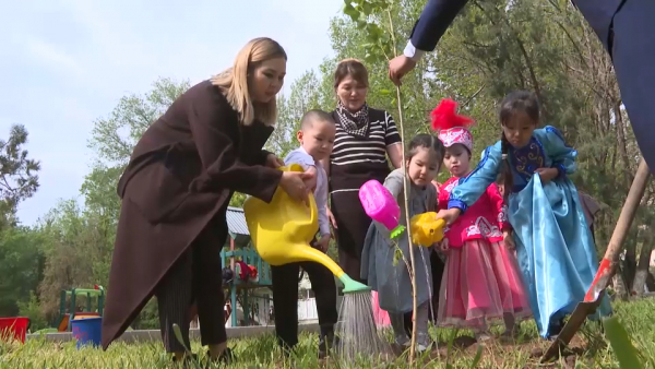 40 тысяч деревьев планируют высадить в Таразе
