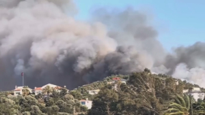 Курортную провинцию Турции охватил лесной пожар