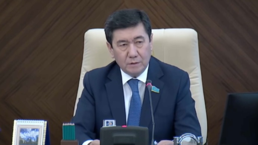 Усилить меры борьбы с киберпреступностью предлагают в Мажилисе