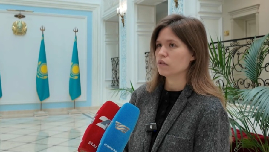 Востоковед высказалась о проекте новой Конституции Казахстана