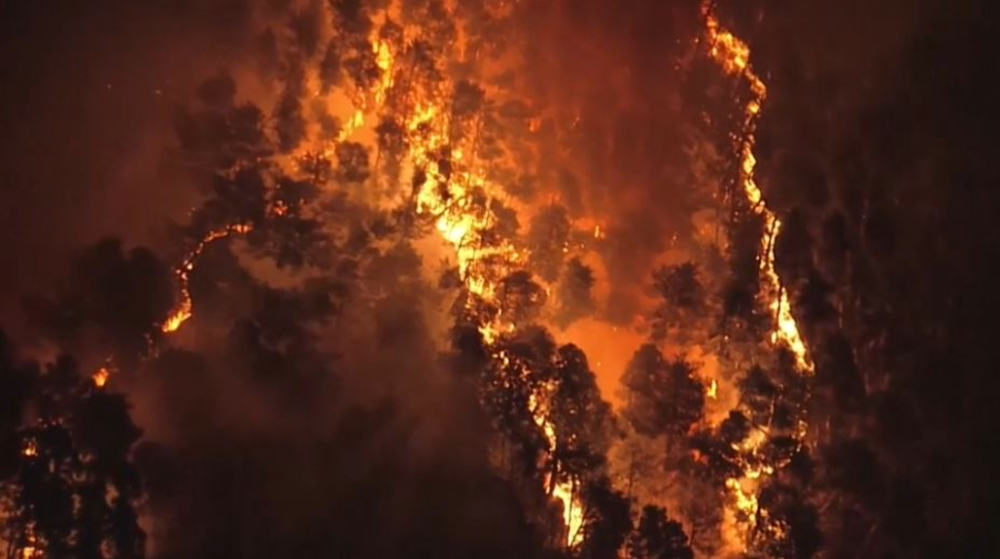 Пожары в Японии: сгорело 150 га леса