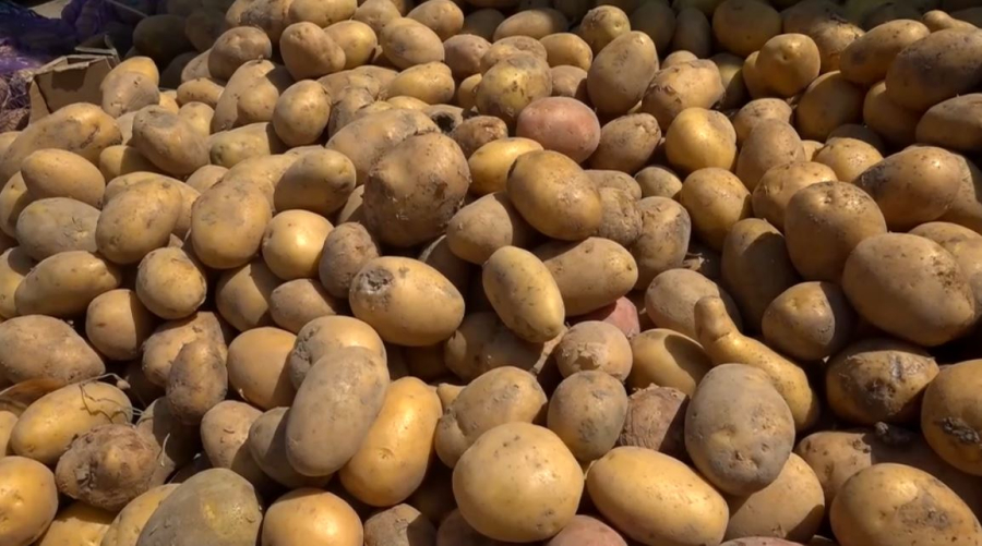 132 факта необоснованного завышения цен на продукты выявили в ЗКО