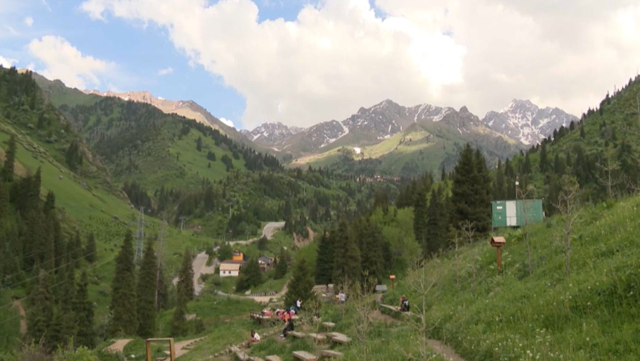 Елімізде туристерге арналған «Е-Шағым» жүйесі іске қосылады