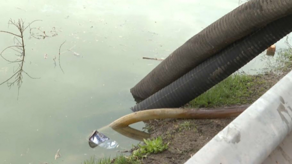 Ворошиловское водохранилище: ситуация под контролем