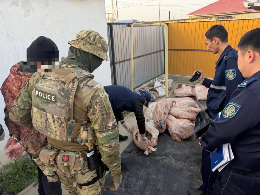 Более 4 тонн рыбной продукции изъяли из незаконного оборота в Атырауской области