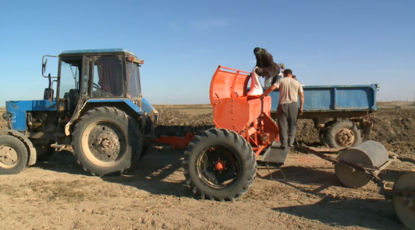Қызылорда облысында күріш егу науқаны басталды