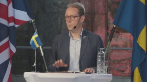 НАТО мен Швеция: талап күшейе ме?