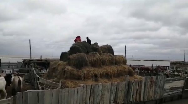 БҚО-дағы елді мекендерде екі жүзден астам үйді су алды