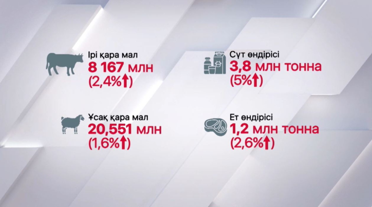 Мал шаруашылығында өсім бар