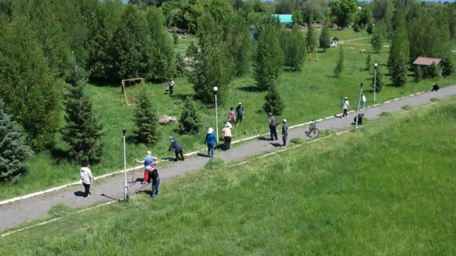 Үржарлықтар жаппай сенбілікке шықты