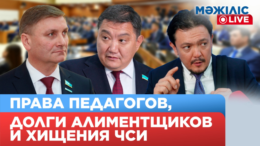 Как нерадивые ЧСИ незаконно присваивали алименты | Мәжіліс Live