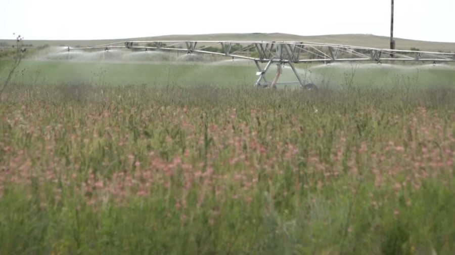 Жерді игеруде ЖИ қолдану маңызды