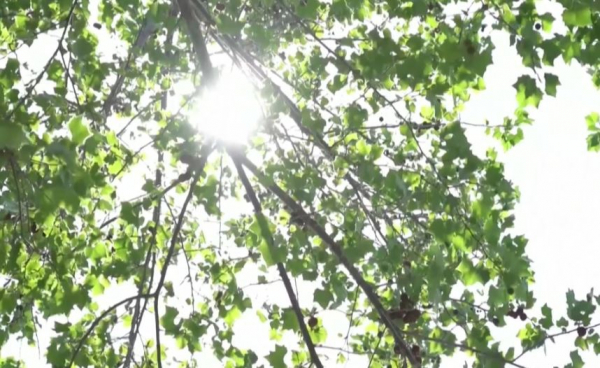 40-градусная жара обрушилась на север Китая