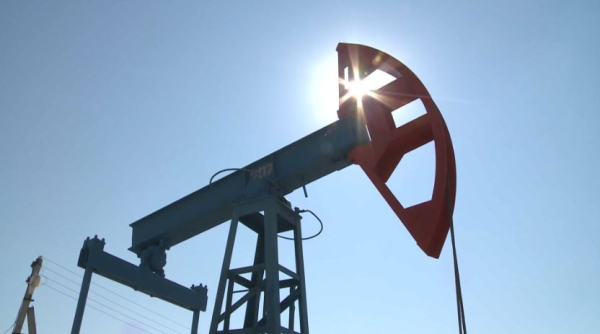 Проекты обрабатывающей промышленности на ₸1,5 трлн запустят в Казахстане