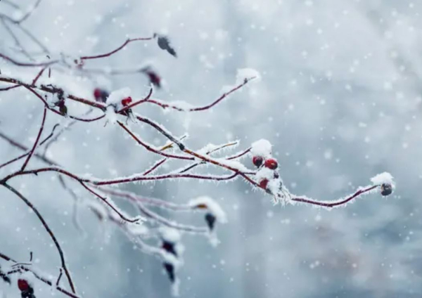 30-градусные морозы сохранятся в Астане