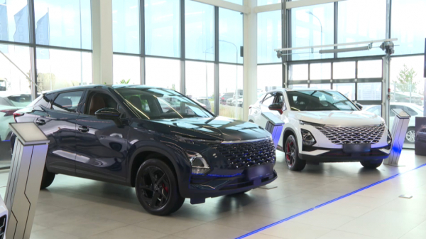 Елімізде автомобилінен ақау шыққан 36 адам дилерден көлік құнын өндіріп алды