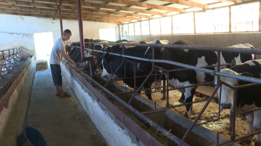 ₸50 млрд выделят на программу «Ауыл аманаты» в этом году