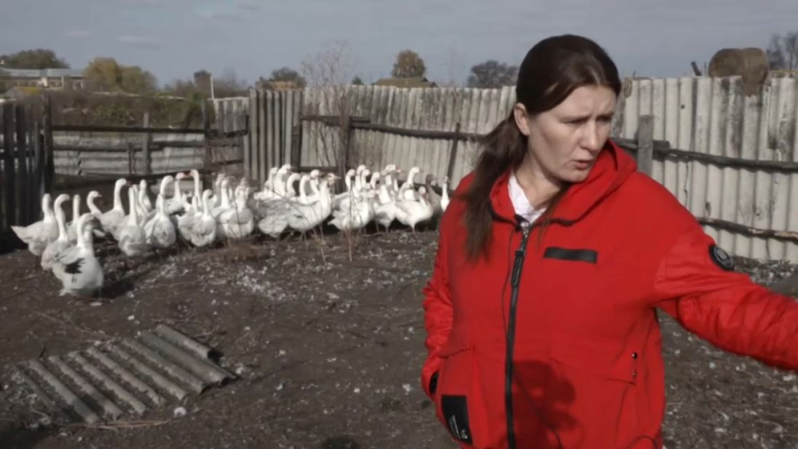 СҚО-да 300-ден аса үй құсы қырылып қалды