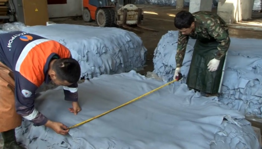 В Казахстане отменят пошлины на экспорт шкур и шерсти