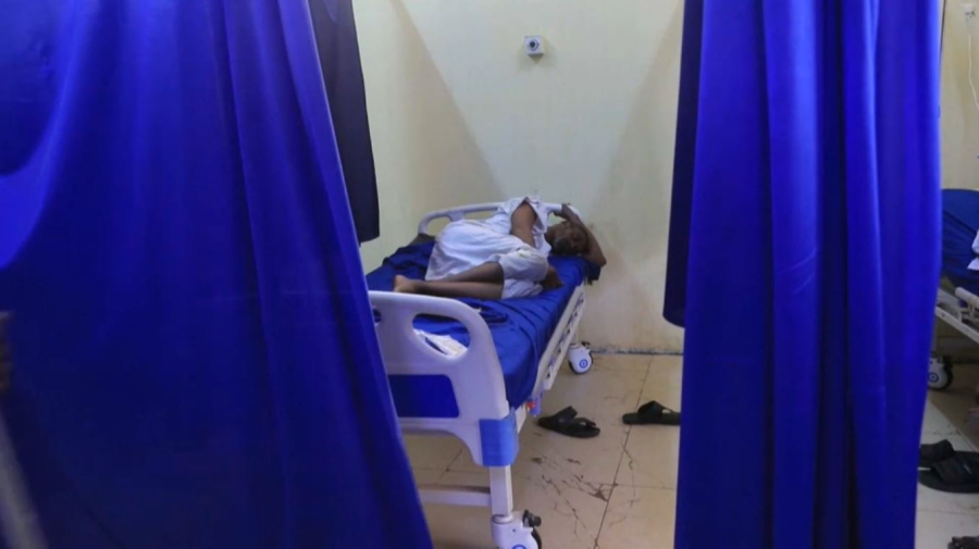 Бір аптада 723 адам денге безгегін жұқтырды