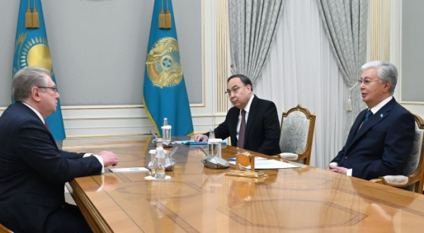 Глава государства принял директора Института дипломатии