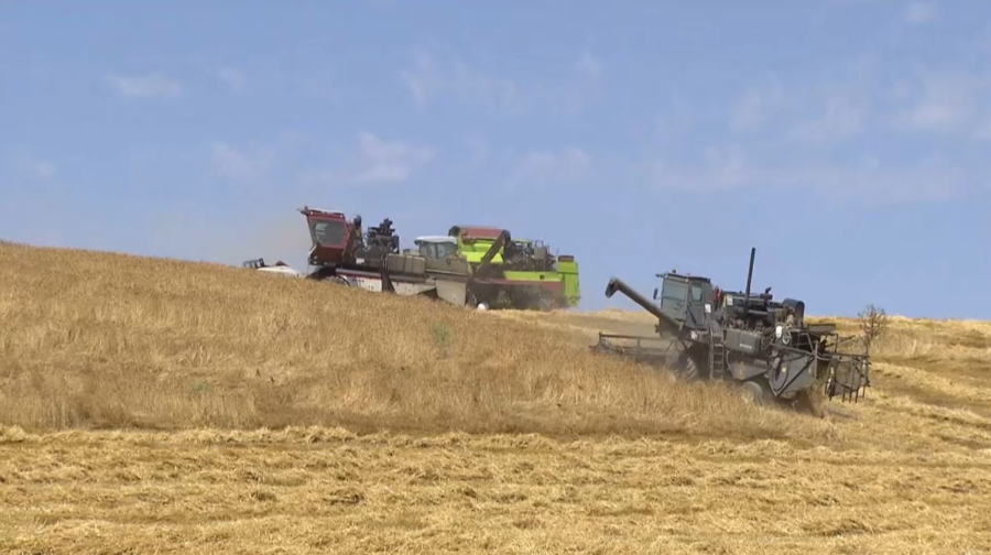 Қазақстанда карбамид тыңайтқышы өндіріледі