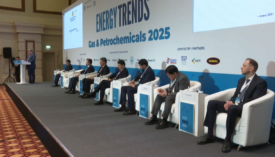 Еліміз газ саласын дамытуға 2029 жылға дейін $25 млрд инвестиция салуды көздейді