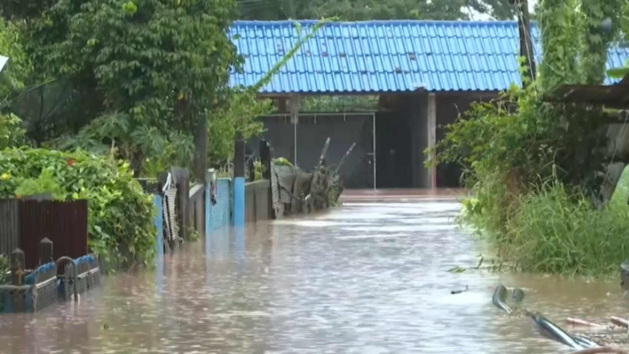 6 человек погибли в Таиланде из-за тайфуна «Випха»