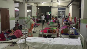 Рекордное количество смертей от лихорадки денге зафиксировали в Бангладеш