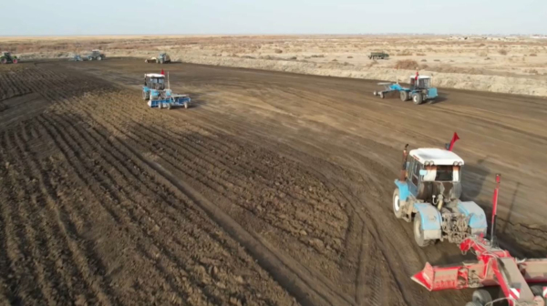 Күрішшілер судың әр тамшысын үнемдей отырып, мол өнімге қол жеткізеді