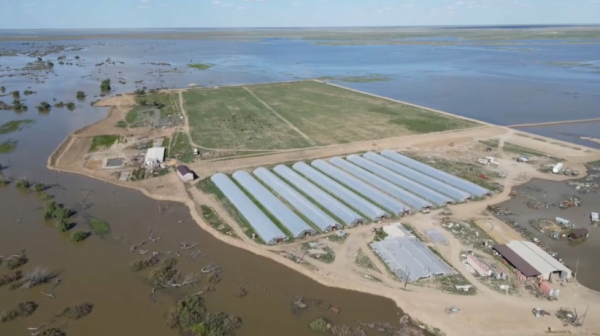Создается комиссия по выплате компенсаций крестьянским хозяйствам