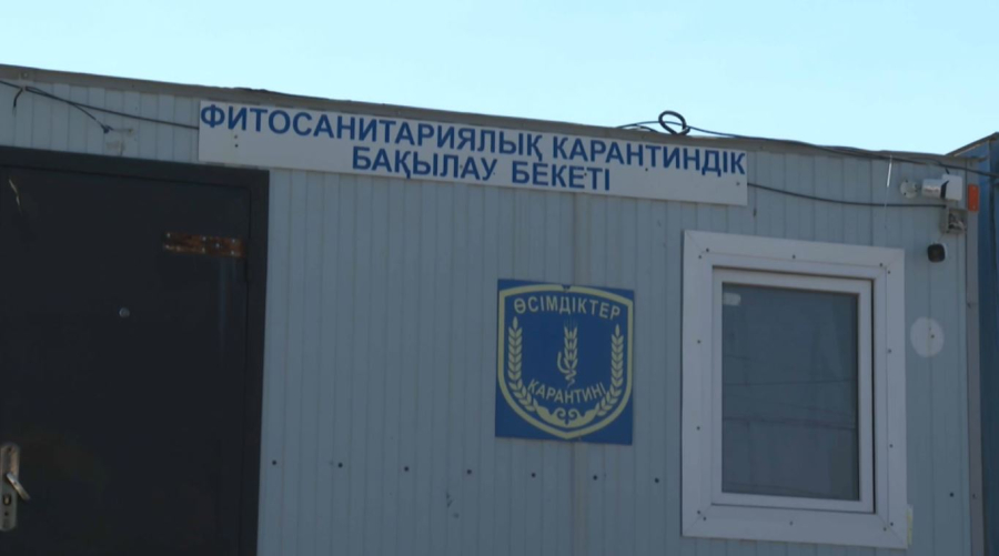Қырғызстаннан бұзылған өнім тасымалданған 