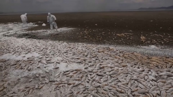 Сильная засуха охватила Мексику