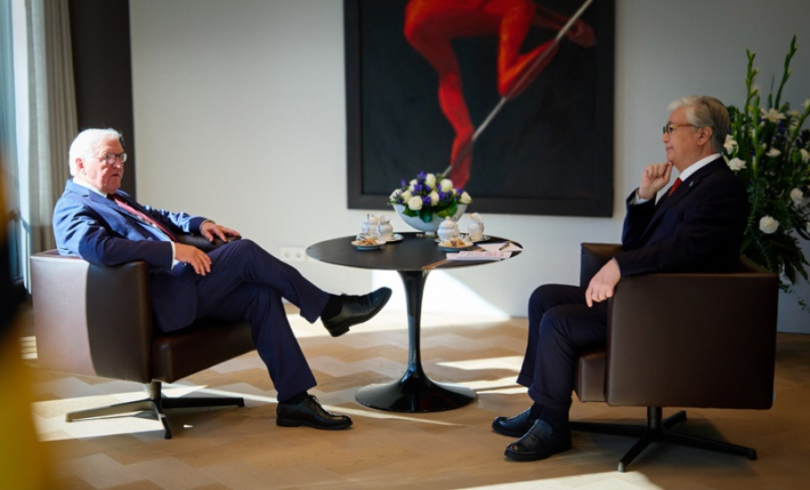 Presidents of Kazakhstan and Germany Hold Talks in Narrow Format