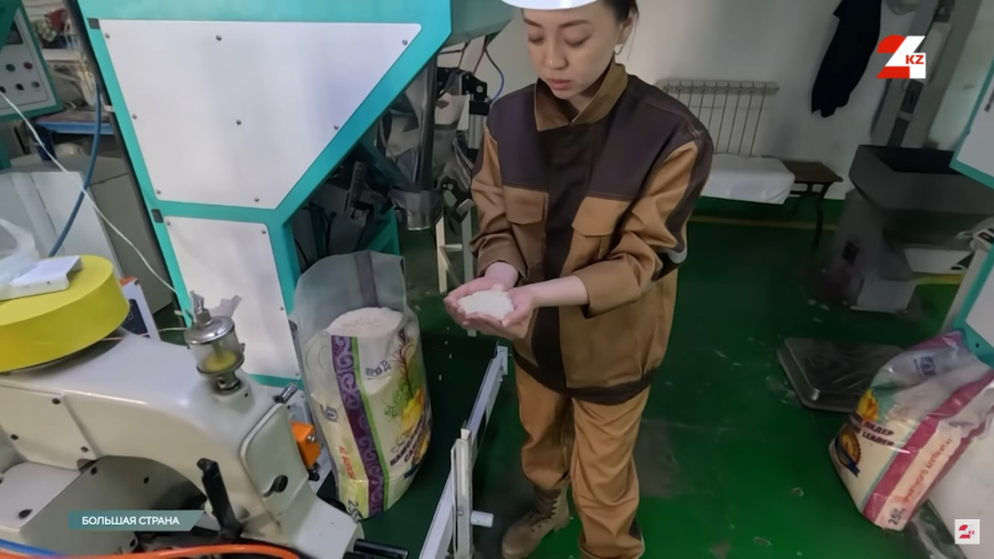 Кызылорда – земля вкуснейшего риса! Знакомимся с технологией производства, но это ещё не всё