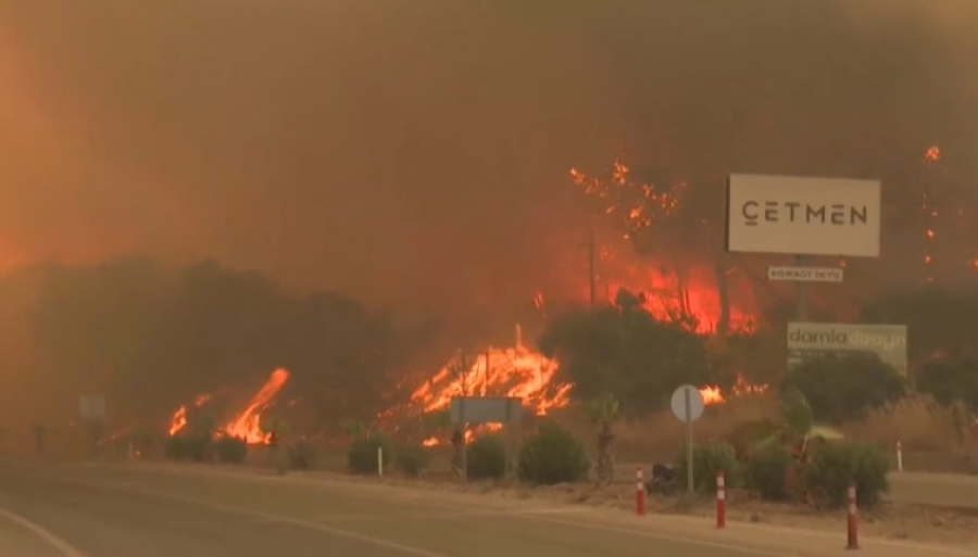 Лесные пожары в Турции унесли жизни двух человек