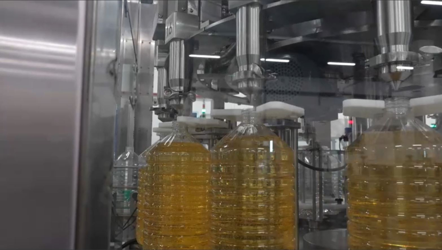 Абай облысында өсімдік майын өндіретін зауыт ашылды