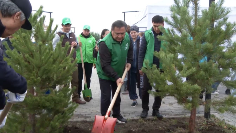 Жители Акмолинской области присоединились ко Всемирному дню чистоты