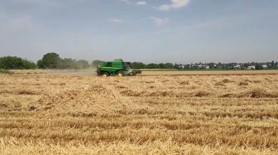 Қазақтың астығына сұраныс артты