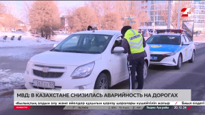 МВД: в Казахстане снизилась аварийность на дорогах