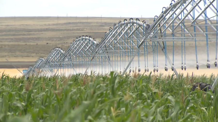 ₸1 млрд направят на водоснабжение посевных площадей в Кызылординской области