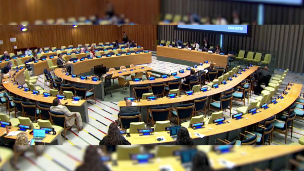 Исторический договор об открытом море подписали 87 стран