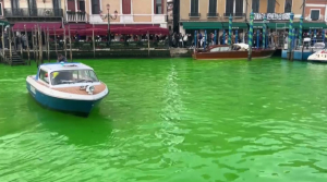 Экоактивисты вылили зеленую краску в воду в Венеции