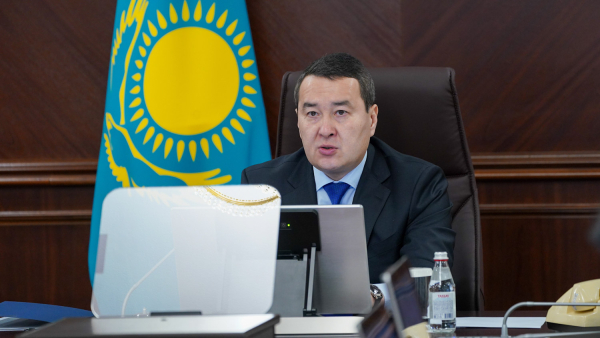 Исполнение поручений Главы государства рассмотрели в Правительстве