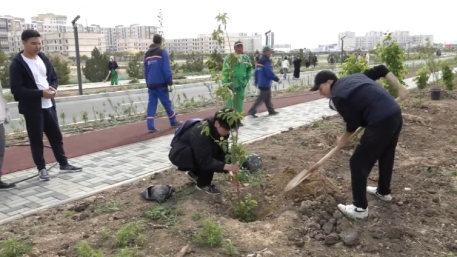 Студенты привели в порядок молодежный парк в Актау