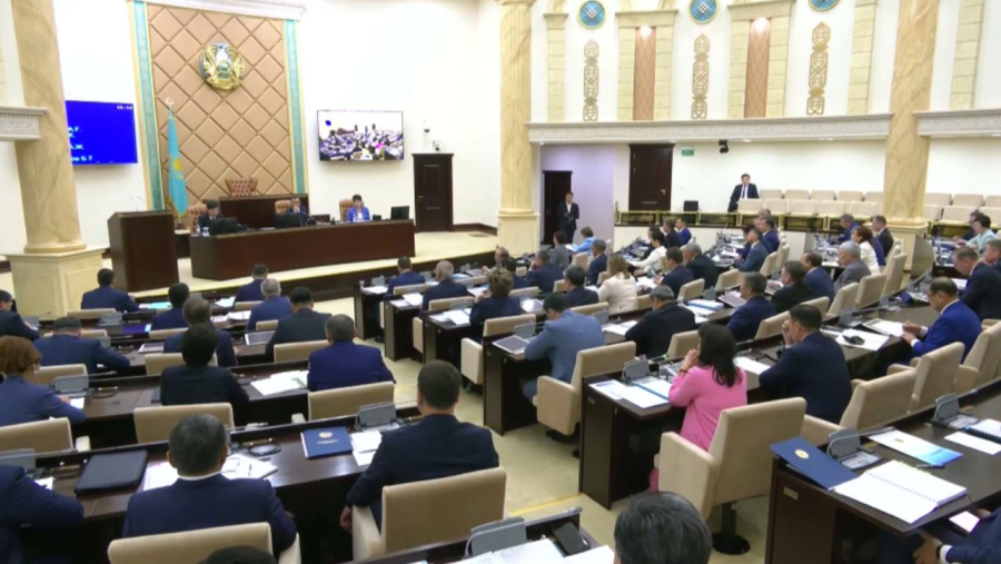 Сенат рақымшылық жасау туралы құжатты қабылдады