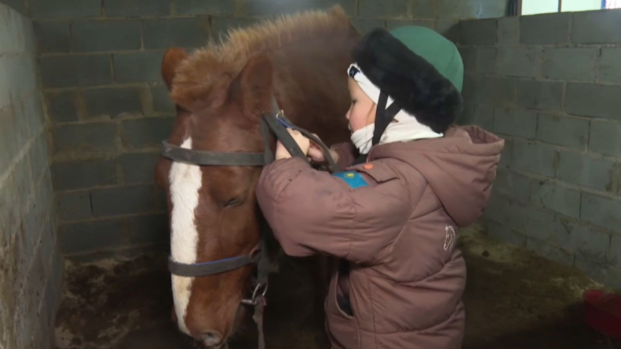 Павлодарда атқа міну мәдениеті қайта жандануда