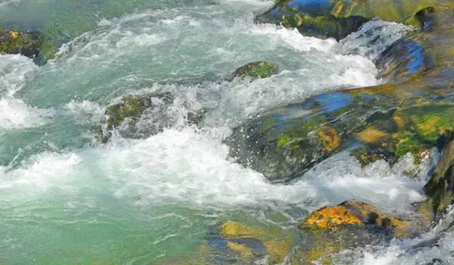 В Алматы ищут виновных в загрязнении реки Каргалы